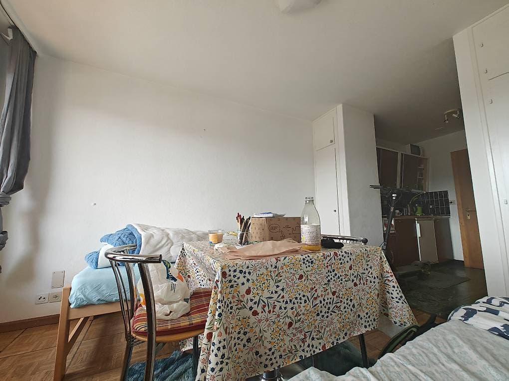 1789 – Appartement – 1 pièce – 650CHF – 20 m²