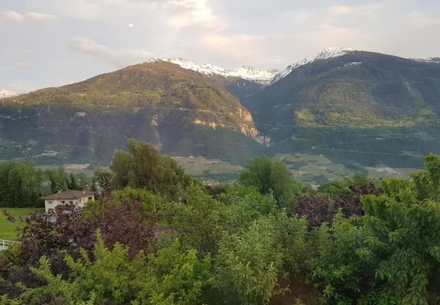 Le Relais Fleuri - Photo 5