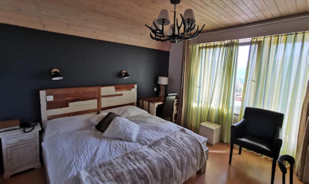 Hôtel du Lac - Photo 1