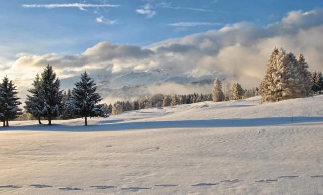 Grand Hôtel du Golf et Palace - Photo 8
