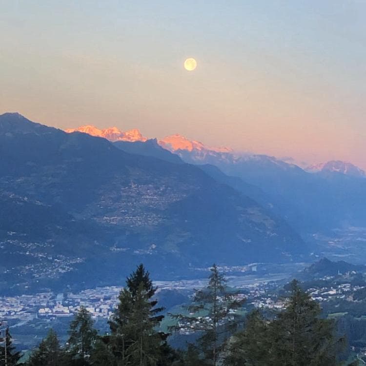 1365 – Appartement 3.5 pièces – 549000 CHF – 65 m²