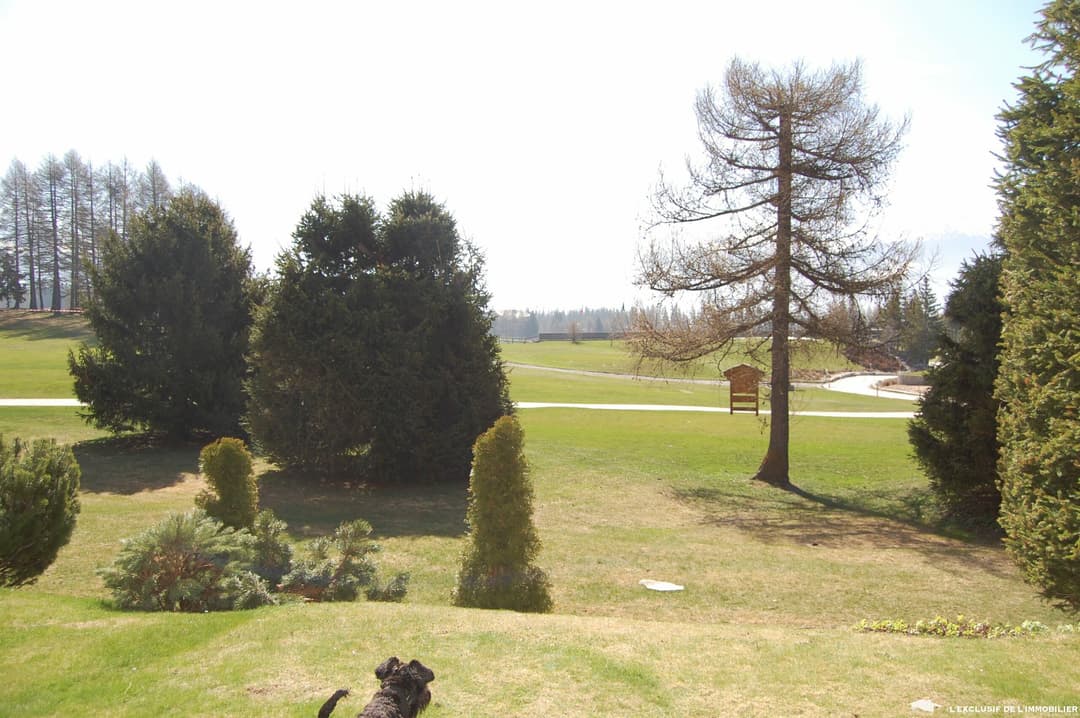 1333 – Appartement – 4.5pièces – 140 m²