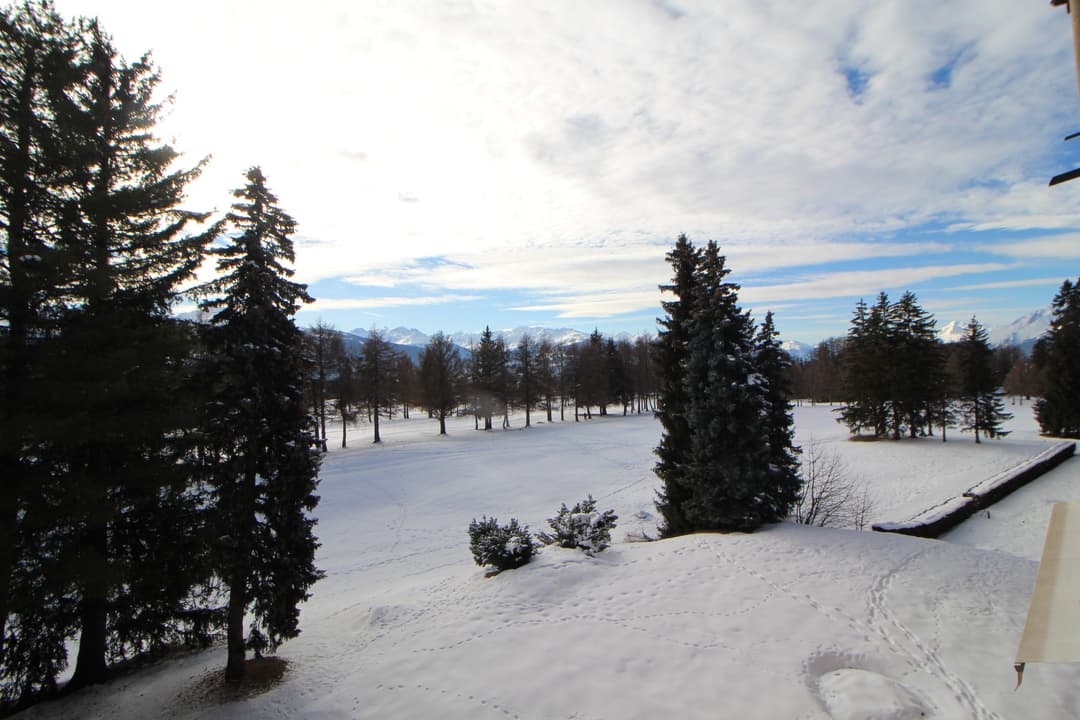 1711 – Appartement – 5.5pièces – 220m²