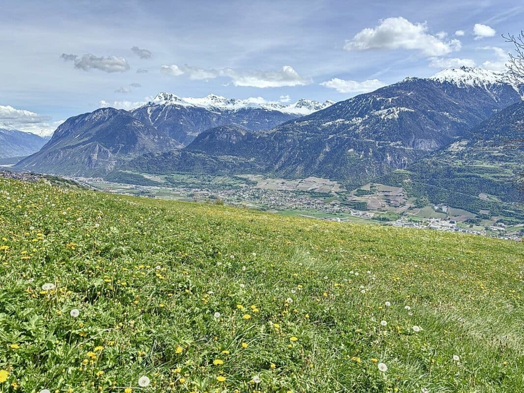 1791 – Maison – 5pièces – 1500000CHF – 100 m²