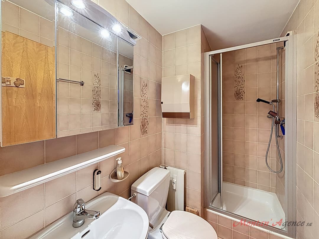 1489 – Appartement – 3.5pièces – 485.25CHF – 91.5 m²