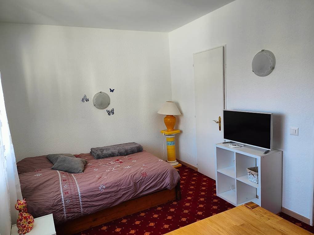 1580 – Appartement – 1pièce – 690CHF