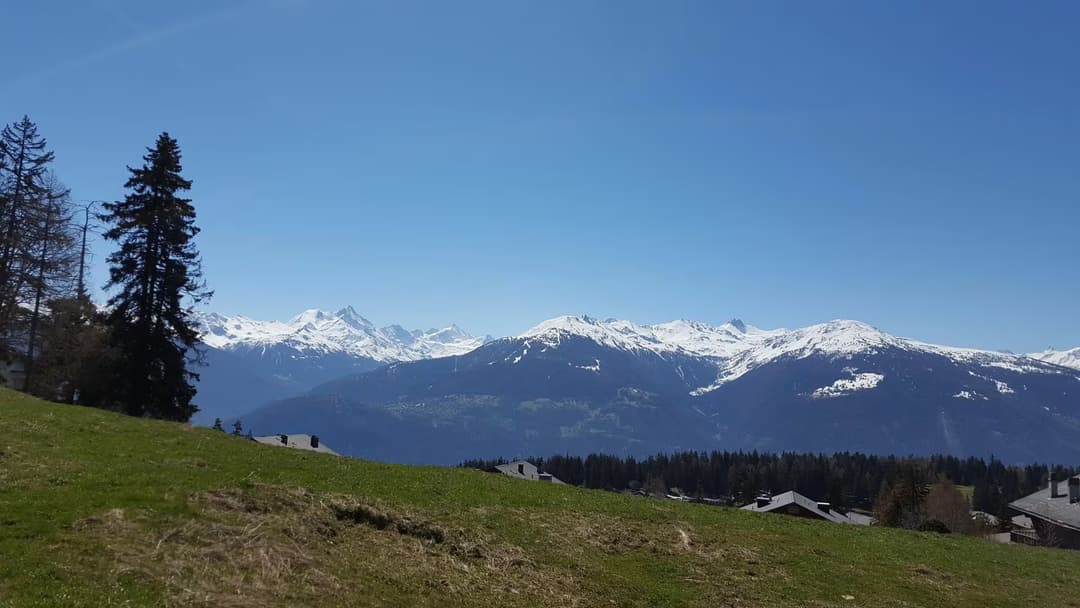 1994 – Terrain – 6000000 CHF – 1133 m²
