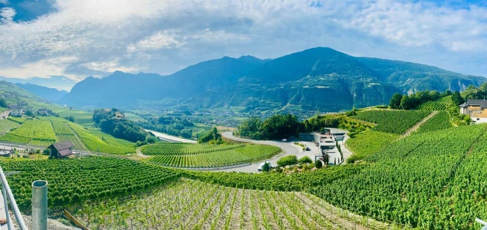 1879 – Appartement – 4.5pièces – 535000CHF – 109.9m²