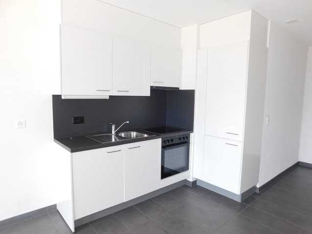 1629 – Appartement 1 pièce – 690 CHF