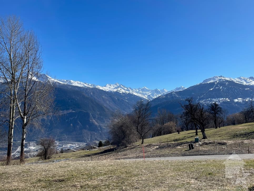 1959 – Terrain – 650000CHF – 1114m²