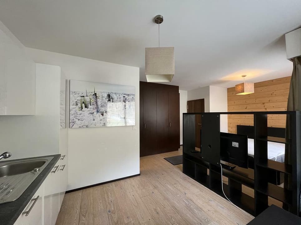 1566 – Appartement – 1pièce – 950CHF – 30m²