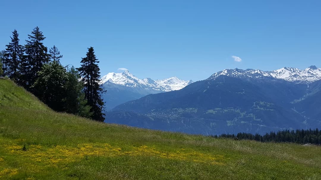 1994 – Terrain – 6000000 CHF – 1133 m²