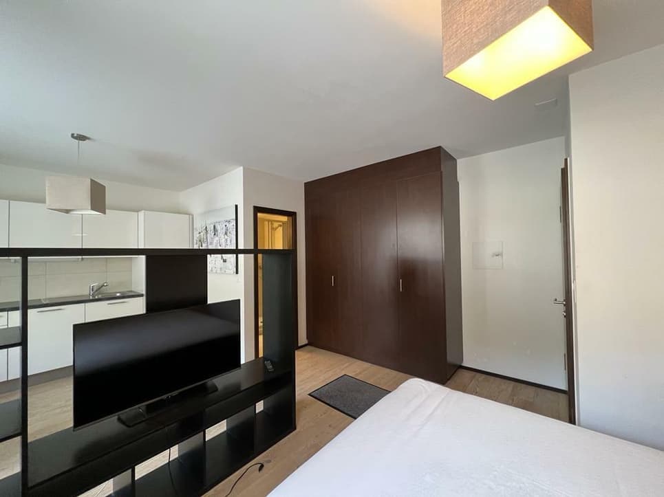 1566 – Appartement – 1pièce – 950CHF – 30m²