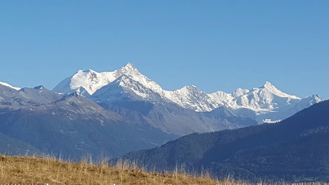 1994 – Terrain – 6000000 CHF – 1133 m²