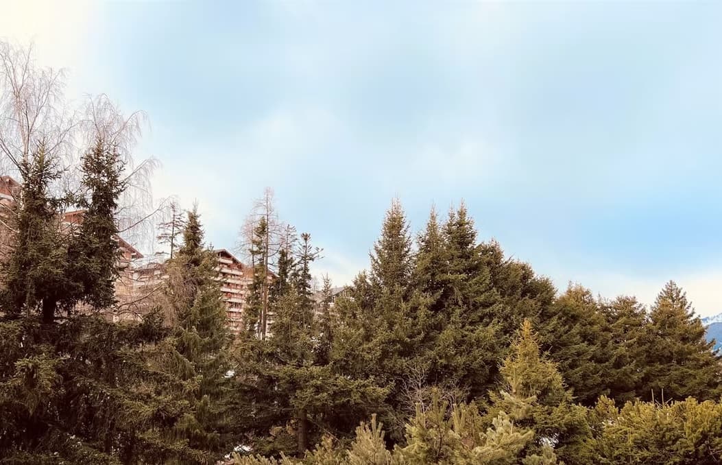 1646 – Appartement 1 pièce – 1050CHF – 21m²