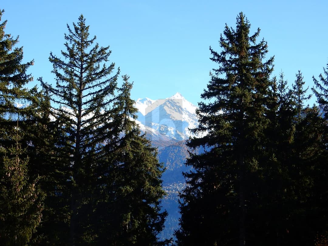 2059 – Appartement 1.5 pièces – 110000 CHF – 23 m²