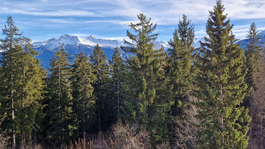 2195 – Appartement 6.5 pièces – 1950000 CHF – 275 m²