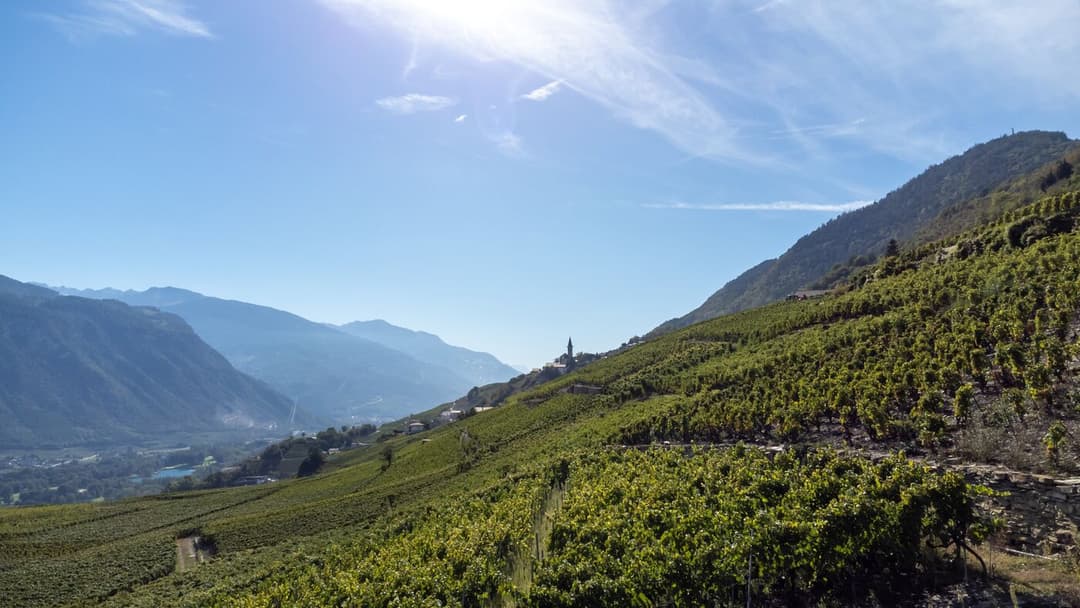 2227 – Appartement 5.5 pièces – 985000CHF – 165m²