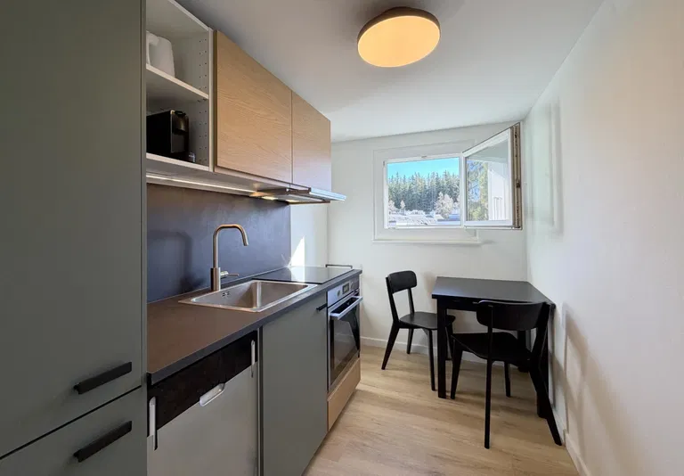 1818 – Appartement – 3.5pièces – 1600CHF – 45 m²