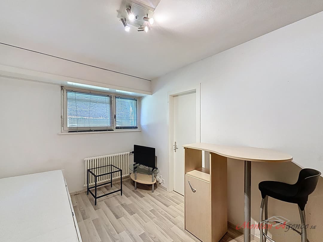 1787 – Appartement 1 pièce – 500CHF