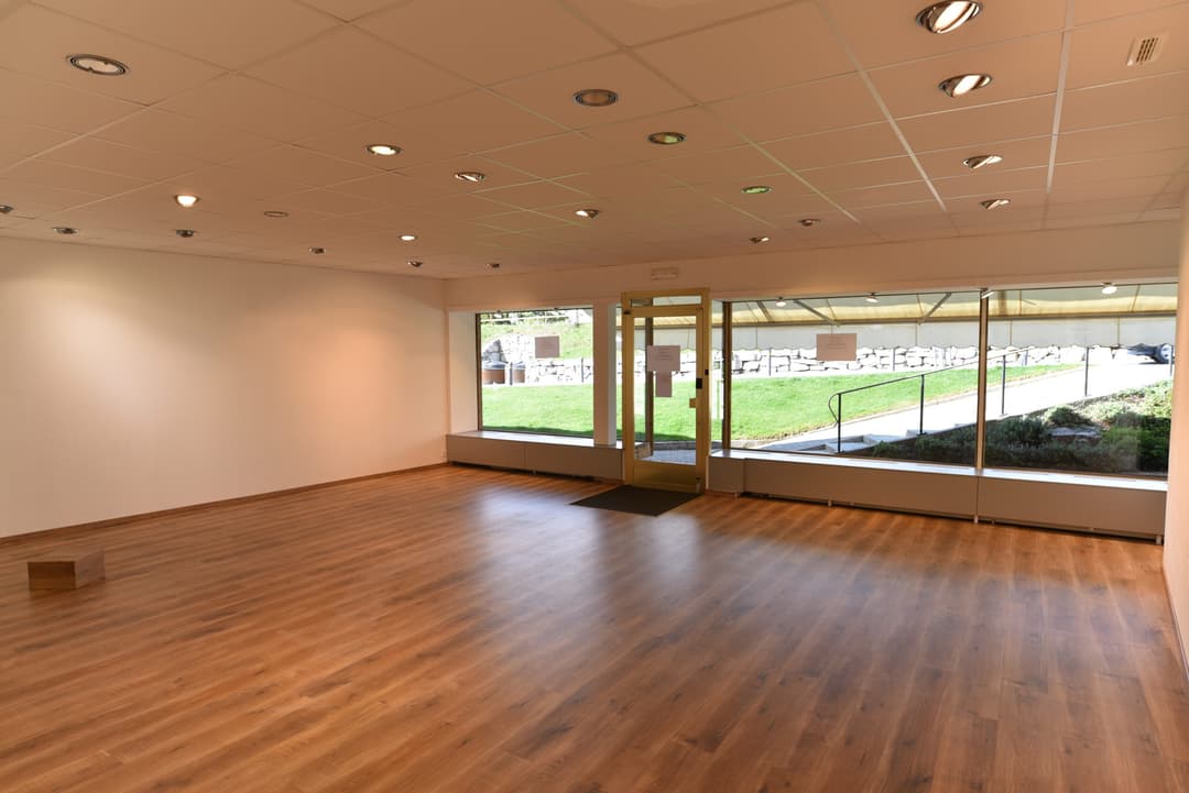 1846 – Commerce – 3800 CHF – 50 m²