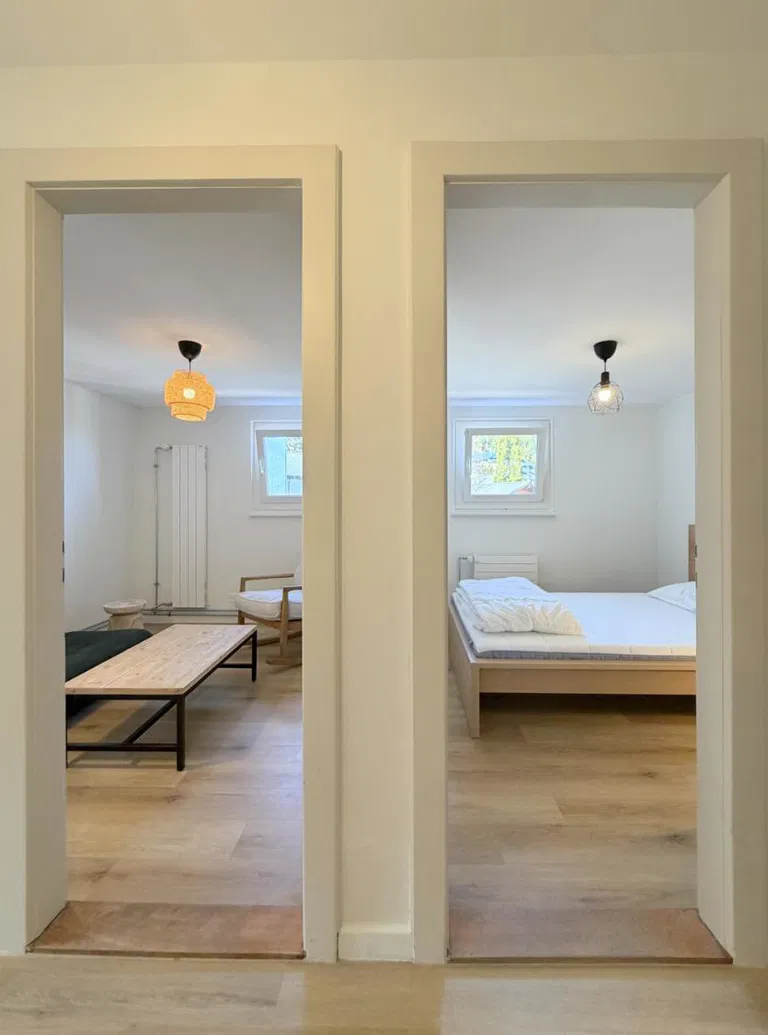 1818 – Appartement – 3.5pièces – 1600CHF – 45 m²