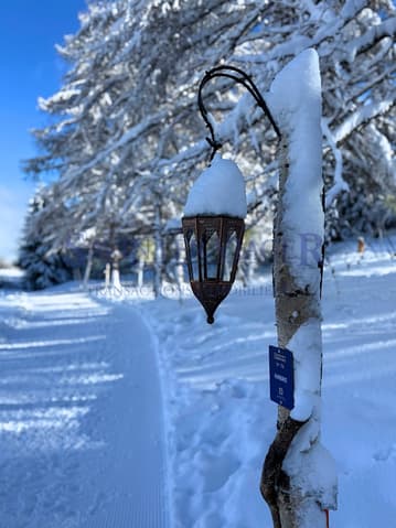 2216 – Appartement 3.5 pièces – 917000CHF – 91m²