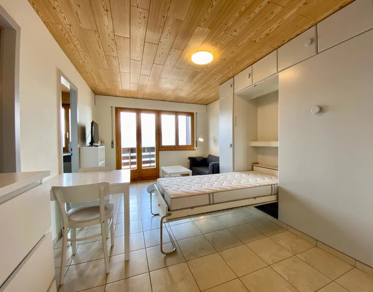 1794 – Appartement – 1.5pièce – 890CHF – 25 m²