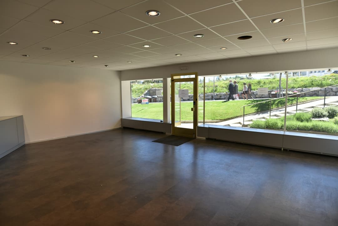 1846 – Commerce – 3800 CHF – 50 m²