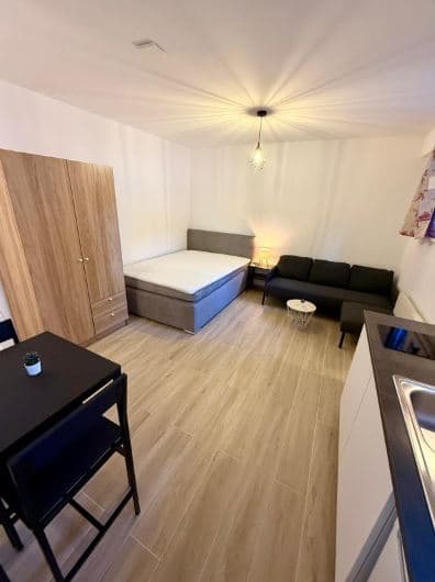 1886 – Appartement 1 pièce – 1090CHF