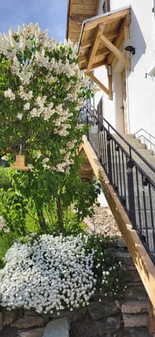2271 – Appartement 3.5 pièces – 378000CHF – 57m²